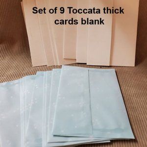 Set of 9 Toccata thick cards blank